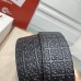 Belt-Loewe-022