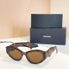 Glass-Pra-088