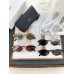 Glass-Ysl-023