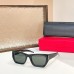 Glass-Ysl-067