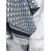 Scarf-Dior-012