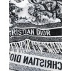 Scarf-Dior-013