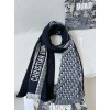 Scarf-Dior-024