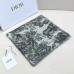 Scarf-Dior-028