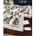 Scarf-Dior-045