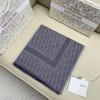 Scarf-Dior-065