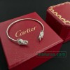 Shi-Car-050