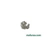 Shi-chro-022