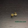 Shi-chro-150