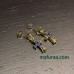 Shi-chro-154
