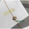 Shi-Dior-007