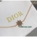 Shi-Dior-007