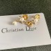 Shi-Dior-025