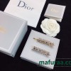 Shi-Dior-051