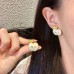 Shi-Dior-129