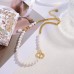 Shi-Dior-137