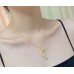 Shi-Ysl-007