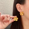 Shi-Ysl-015
