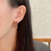 Shi-Ysl-021