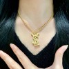 Shi-Ysl-024