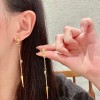 Shi-Ysl-028