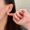 Shi-Ysl-031