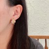 Shi-Ysl-031
