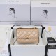 mini19cmシャネル バッグ サイズ:19x14x7xcm 254 mini19cmシャネル バッグ サイズ:19x14x7xcm 254
